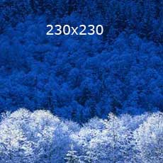 https://www.testi.snky.fi/uploads/images/snky-logo-tausta/testikuva_230x230.jpg